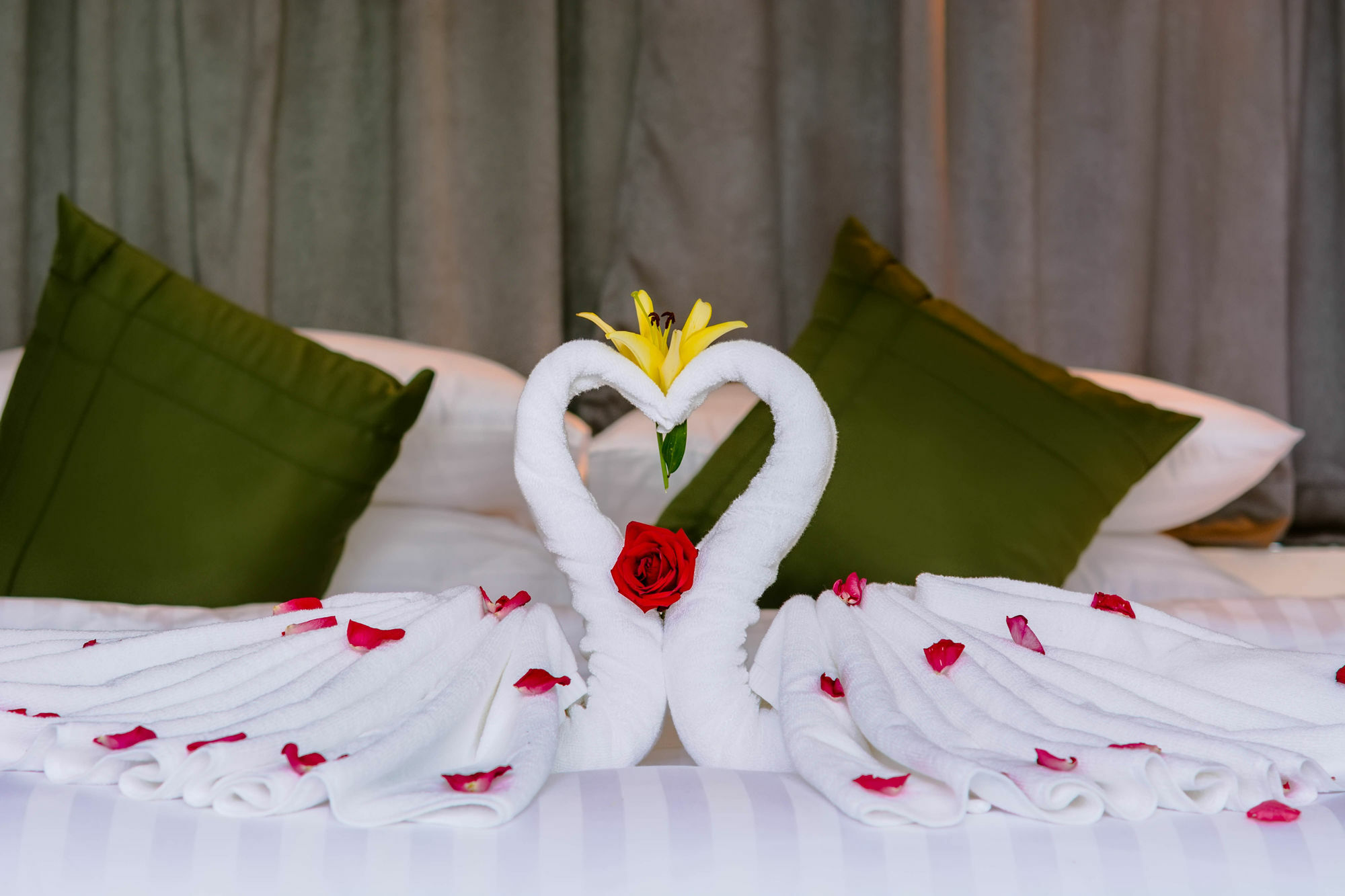Ring Boutique Hotel Siem Reap Zewnętrze zdjęcie